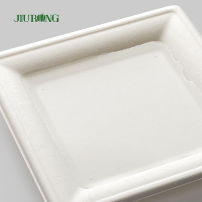 Biodegradable Disposable Kraft Paper Plate For Party Bulk Custom Print