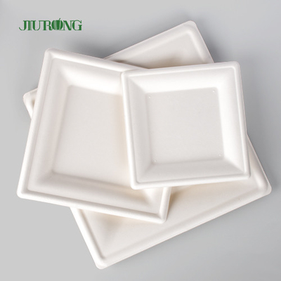 Biodegradable Disposable Kraft Paper Plate For Party Bulk Custom Print
