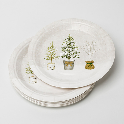 LFGB Biodegradable Paper Plates Compostable Potted Plant Birthday Party Supplies Tableware Set
