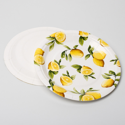 Eco Friendly Biodegradable Paper Plates Compostable Lemon Birthday Party Supplies