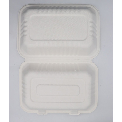Bagasse Sugarcane Food Container