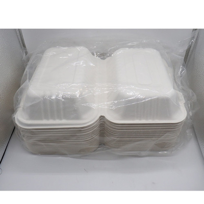 Bagasse Sugarcane Food Container