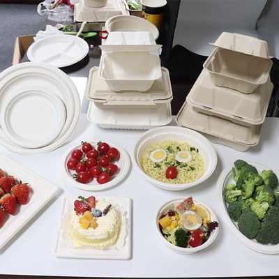 Bagasse Sugarcane Food Container