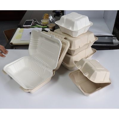 Bagasse Sugarcane Food Container