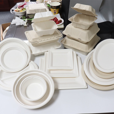 Bagasse Sugarcane Food Container