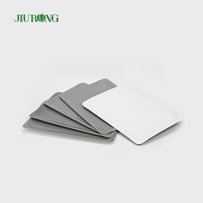 Biodegradable Eco Friendly Food Plates disposable Custom Shape Jiurong