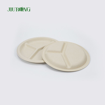 Bread Sugarcane Bagasse Disposable Plate Biodegradable round shape