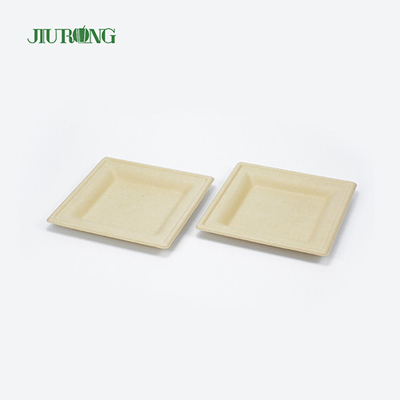 Eco Friendly Disposable Sugarcane Food Container Biodegradable Bagasse Sushi Tray