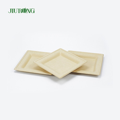 Eco Friendly Disposable Sugarcane Food Container Biodegradable Bagasse Sushi Tray