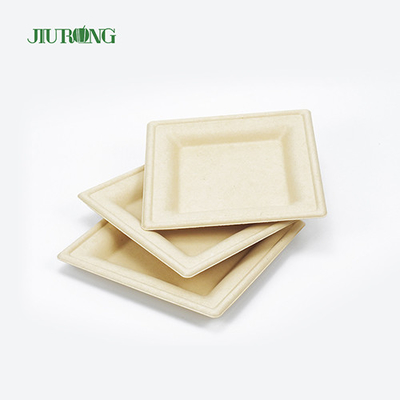 Eco Friendly Disposable Sugarcane Food Container Biodegradable Bagasse Sushi Tray