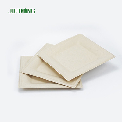 Matt Lamination Sugarcane Food Container White Paper Dinner Plates Jiurong
