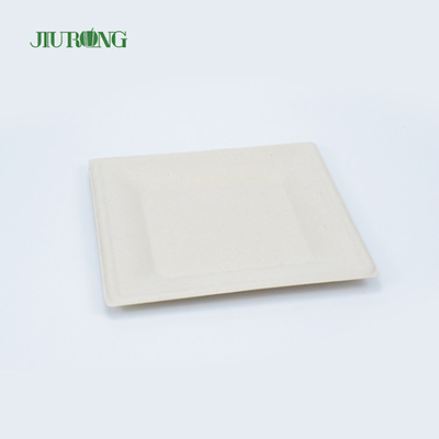 Matt Lamination Sugarcane Food Container White Paper Dinner Plates Jiurong