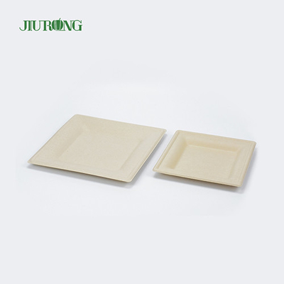 Matt Lamination Sugarcane Food Container White Paper Dinner Plates Jiurong