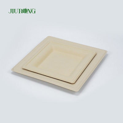 Matt Lamination Sugarcane Food Container White Paper Dinner Plates Jiurong