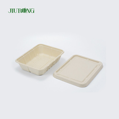 Recycled Waterproof Bagasse Food Packaging Biodegradable Paper Box OEM ODM