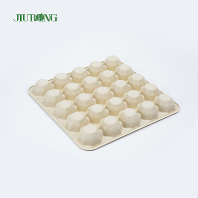 Greaseproof Paper Sugarcane Food Container Recycled Biodegradable Egg Tray