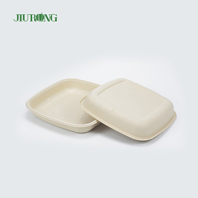 Bagasse Takeaway Disposable Sugarcane Paper Plates Biodegradable