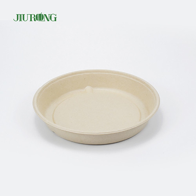 Disposable Sugarcane Food Container Hamburger Bagasse Paper Tray