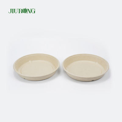Disposable Sugarcane Food Container Hamburger Bagasse Paper Tray