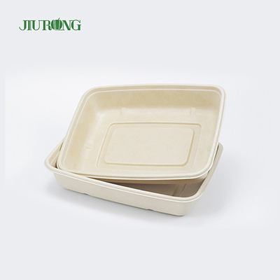 Disposable Sugarcane Food Container Biodegradable Greaseproof Paper OEM ODM