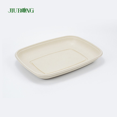 Eco Friendly Compostable Food Tray Sushi Biodegradable Sugarcane Plate