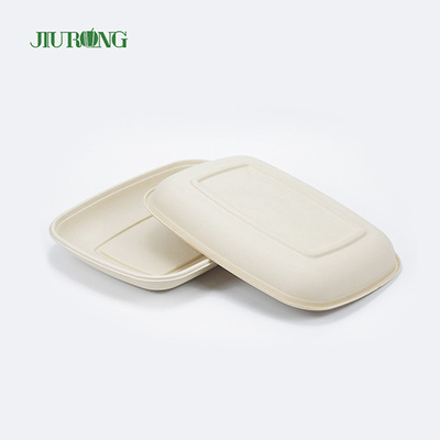 Eco Friendly Compostable Food Tray Sushi Biodegradable Sugarcane Plate