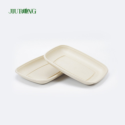 Eco Friendly Compostable Food Tray Sushi Biodegradable Sugarcane Plate