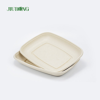 Eco Friendly Compostable Food Tray Sushi Biodegradable Sugarcane Plate
