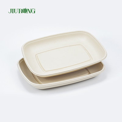 Eco Friendly Compostable Food Tray Sushi Biodegradable Sugarcane Plate