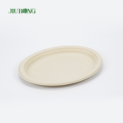Noodle Biodegradable sugarcane food packaging Disposable Matt Lamination