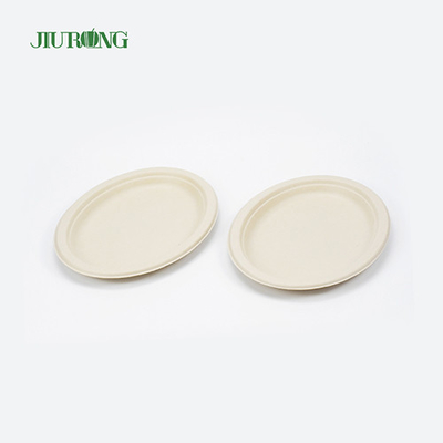 Noodle Biodegradable sugarcane food packaging Disposable Matt Lamination