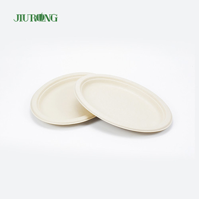 Noodle Biodegradable sugarcane food packaging Disposable Matt Lamination