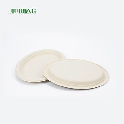 Noodle Biodegradable sugarcane food packaging Disposable Matt Lamination