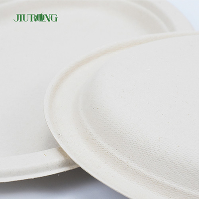 Noodle Biodegradable sugarcane food packaging Disposable Matt Lamination
