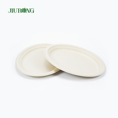 Waterproof Sugarcane Food Container 7inch 23cm Dia For Biscuit Sandwich
