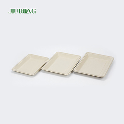 Square Disposable biodegradable sugarcane plates 160mm for Hamburger Bread