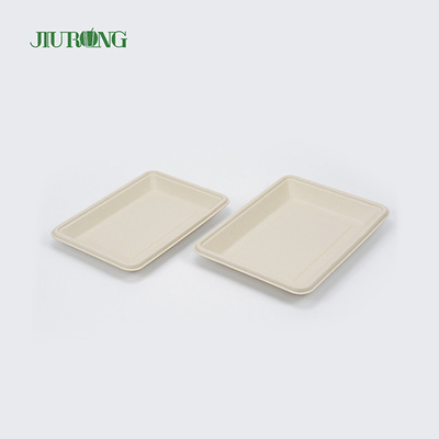 Square Disposable biodegradable sugarcane plates 160mm for Hamburger Bread