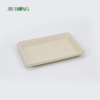 Square Disposable biodegradable sugarcane plates 160mm for Hamburger Bread