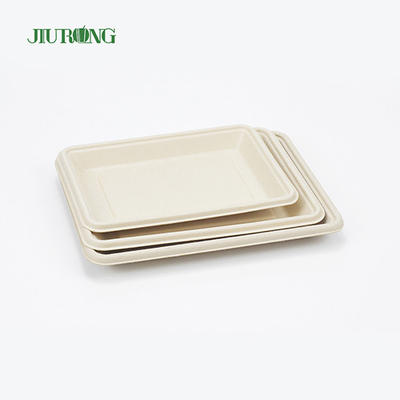 Square Disposable biodegradable sugarcane plates 160mm for Hamburger Bread