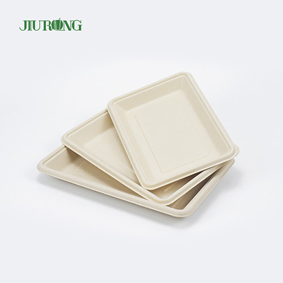 Square Disposable biodegradable sugarcane plates 160mm for Hamburger Bread