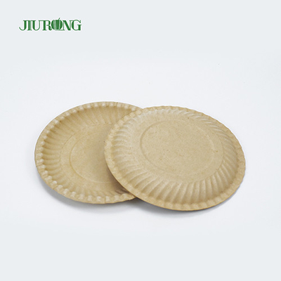 Recyclable Biodegradable Sugarcane Food Container Eco Friendly Round Plate 258mm