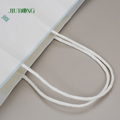 Waterproof Biodegradable custom kraft paper bags Eco friendly 320mm
