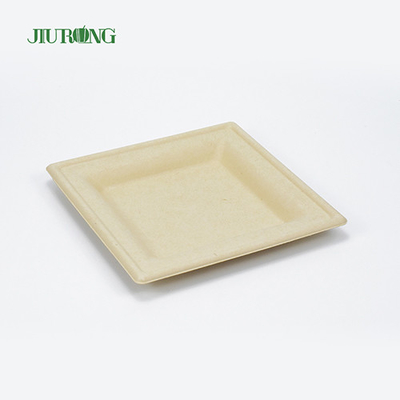 Eco Friendly Disposable Sugarcane Food Container Biodegradable Bagasse Sushi Tray